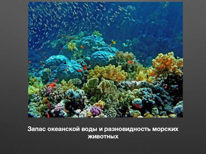 Запас океанской воды и разновидность морских животных