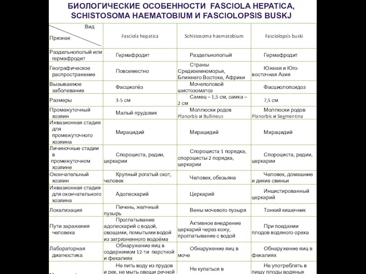 БИОЛОГИЧЕСКИЕ ОСОБЕННОСТИ FASCIOLA HEPATICA, SCHISTOSOMA HAEMATOBIUM И FASCIOLOPSIS BUSKJ