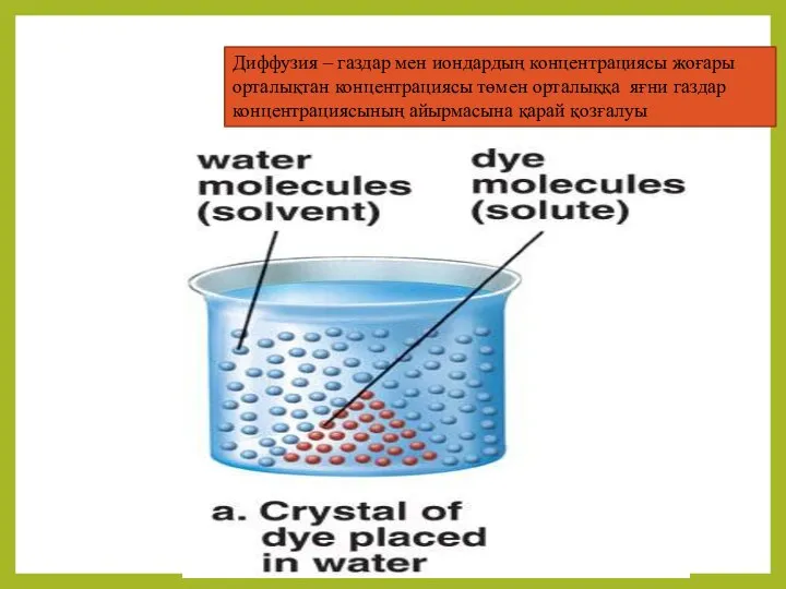 Диффузия – газдар мен иондардың концентрациясы жоғары орталықтан концентрациясы төмен орталыққа яғни