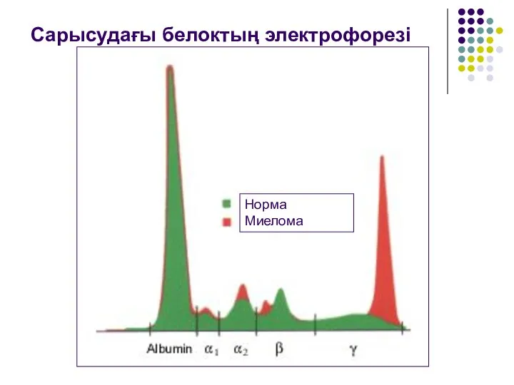 Электрофорез белков сыворотки. Сарысудағы белоктың электрофорезі