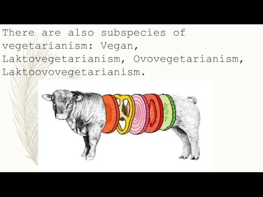 There are also subspecies of vegetarianism: Vegan, Laktovegetarianism, Ovovegetarianism, Laktoovovegetarianism.