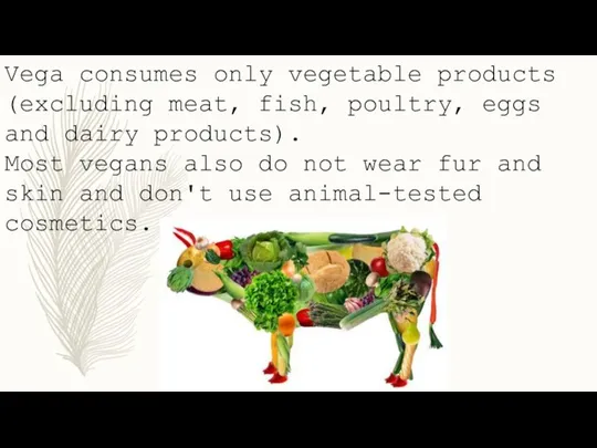 Vega consumes only vegetable products (excluding meat, fish, poultry, eggs and dairy