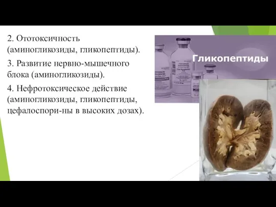 2. Ототоксичность (аминогликозиды, гликопептиды). 3. Развитие нервно-мышечного блока (аминогликозиды). 4. Нефротоксическое действие