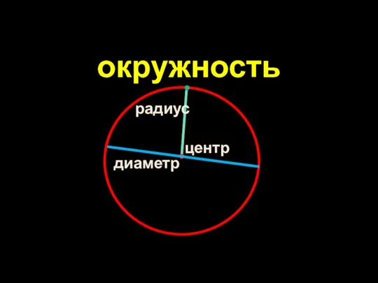 окружность центр радиус диаметр