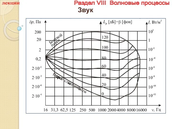 лекции Раздел VIII Волновые процессы Звук