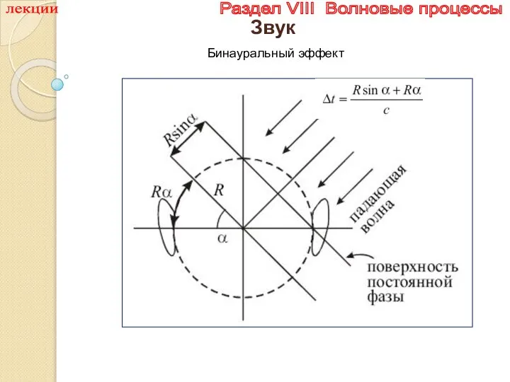 лекции Раздел VIII Волновые процессы Звук Бинауральный эффект