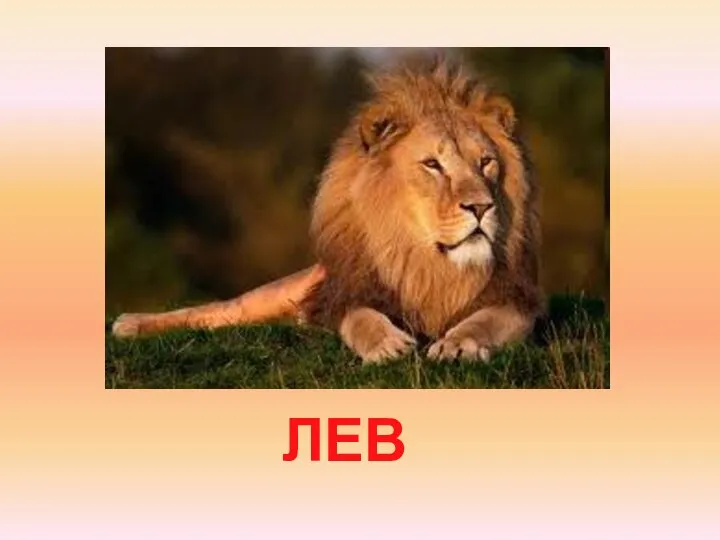 ЛЕВ