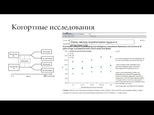 Когортные исследования Связь между кормлением грудью и интеллектом