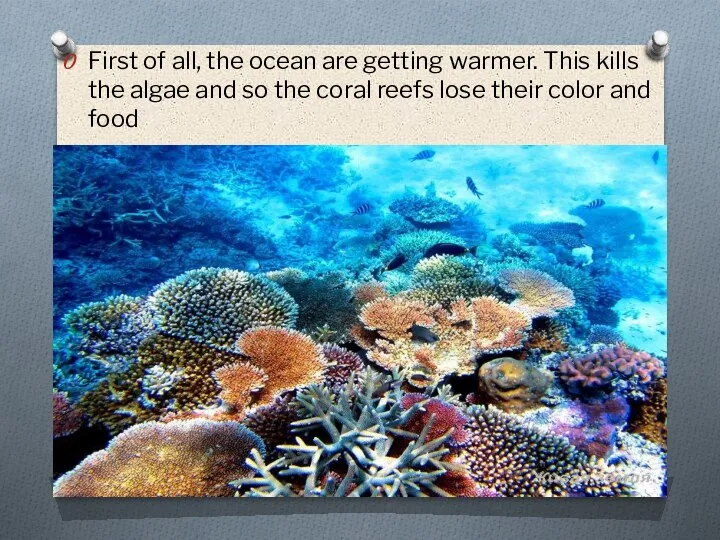 First of all, the ocean are getting warmer. This kills the algae