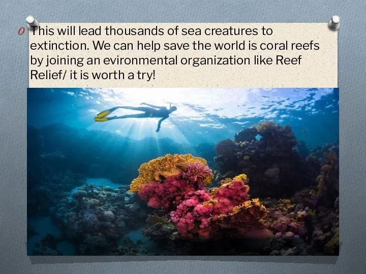 This will lead thousands of sea creatures to extinction. We can help