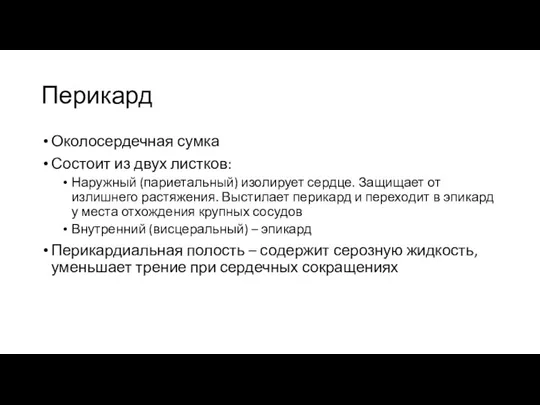 Перикард Околосердечная сумка Состоит из двух листков: Наружный (париетальный) изолирует сердце. Защищает