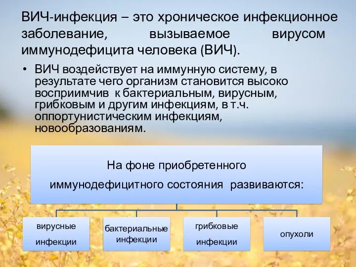 ВИЧ воздействует на иммунную систему, в результате чего организм становится высоко восприимчив