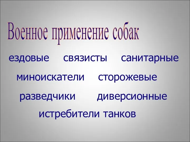 Военное применение собак ездовые миноискатели связисты истребители танков санитарные сторожевые диверсионные разведчики