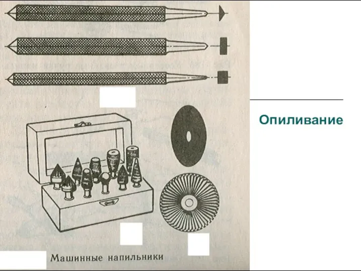 Опиливание