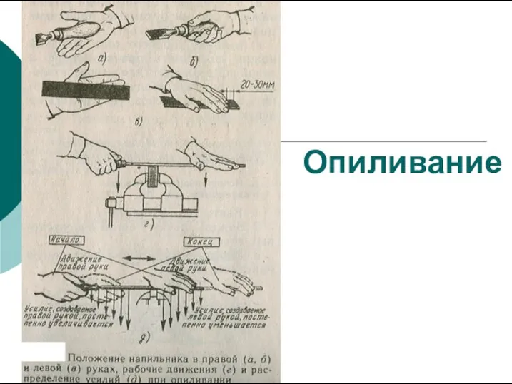 Опиливание