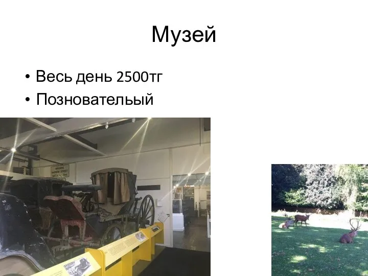 Музей Весь день 2500тг Позновательый