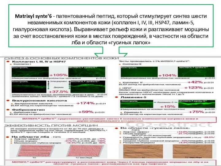 Matrixyl synte’6 - патентованный пептид, который стимулирует синтез шести незаменимых компонентов кожи