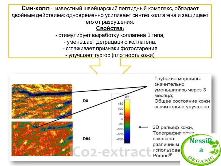 Син-колл - известный швейцарский пептидный комплекс, обладает двойным действием: одновременно усиливает синтез