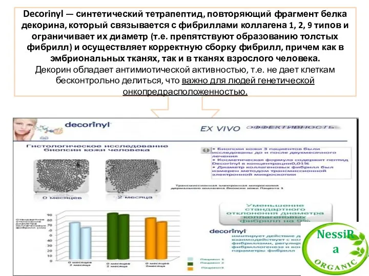 Decorinyl — синтетический тетрапептид, повторяющий фрагмент белка декорина, который связывается с фибриллами