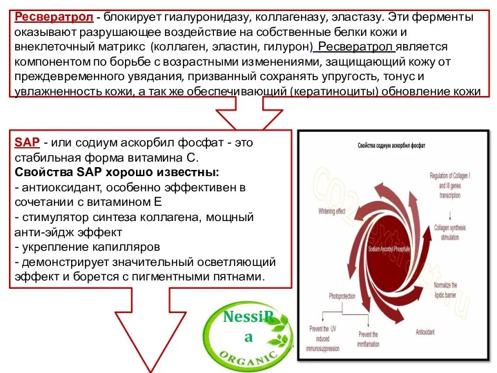 Ресвератрол - блокирует гиалуронидазу, коллагеназу, эластазу. Эти ферменты оказывают разрушающее воздействие на