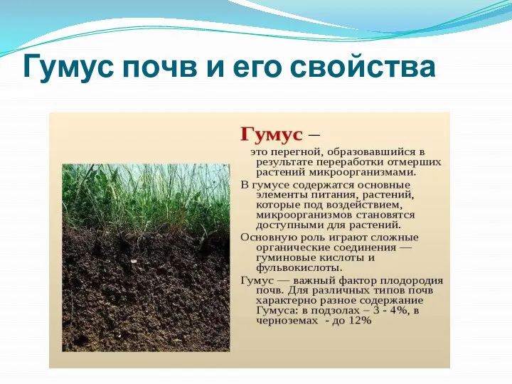 Гумус почв и его свойства