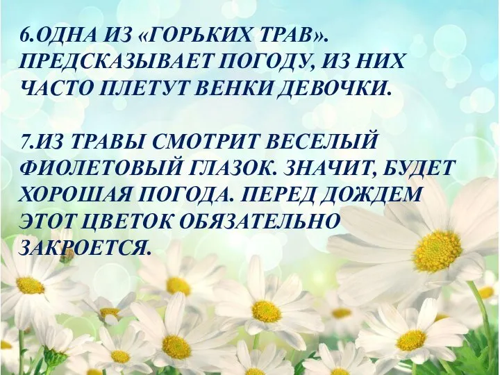 6.ОДНА ИЗ «ГОРЬКИХ ТРАВ».ПРЕДСКАЗЫВАЕТ ПОГОДУ, ИЗ НИХ ЧАСТО ПЛЕТУТ ВЕНКИ ДЕВОЧКИ. 7.ИЗ