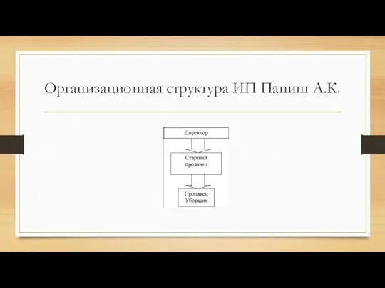 Организационная структура ИП Паниш А.К.