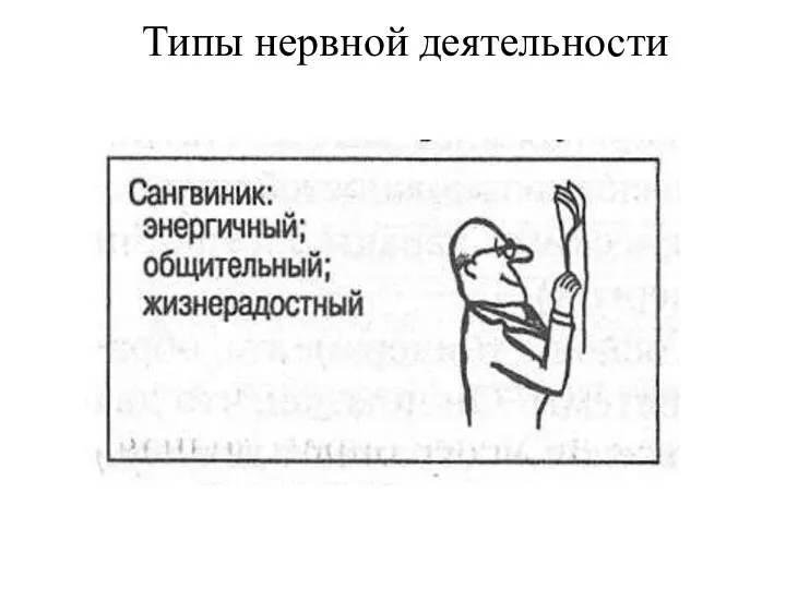 Типы нервной деятельности