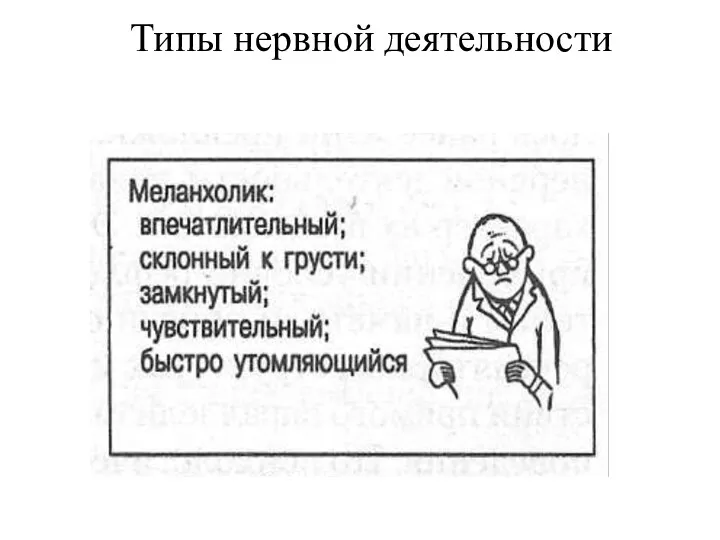 Типы нервной деятельности