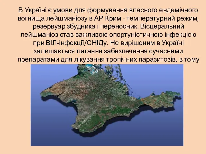 В Україні є умови для формування власного ендемічного вогнища лейшманіозу в АР