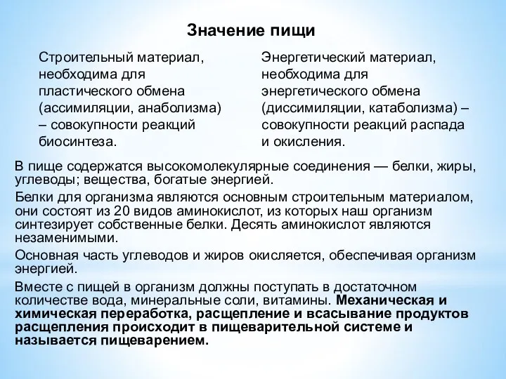 В пище содержатся высокомолекулярные соединения — белки, жиры, углеводы; вещества, богатые энергией.