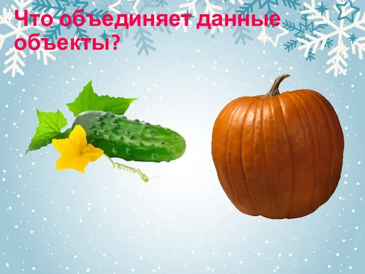 Что объединяет данные объекты?