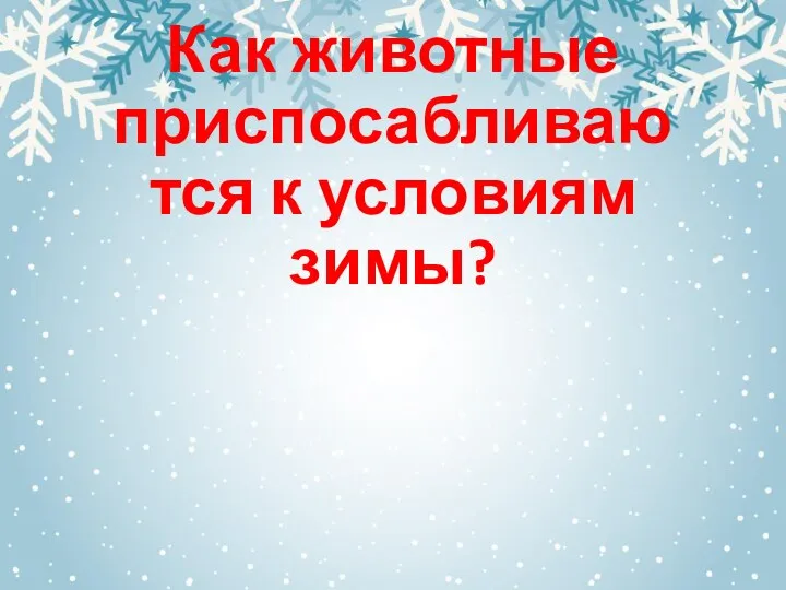 Как животные приспосабливаются к условиям зимы?