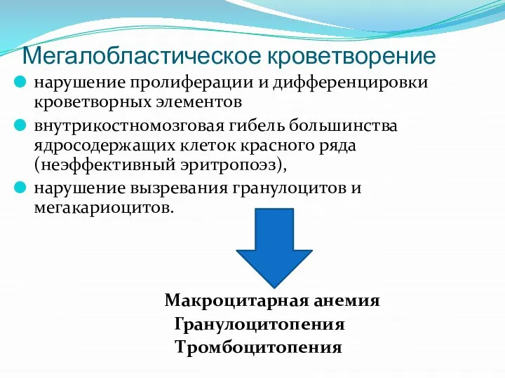 Мегалобластическое кроветворение нарушение пролиферации и дифференцировки кроветворных элементов внутрикостномозговая гибель большинства ядросодержащих