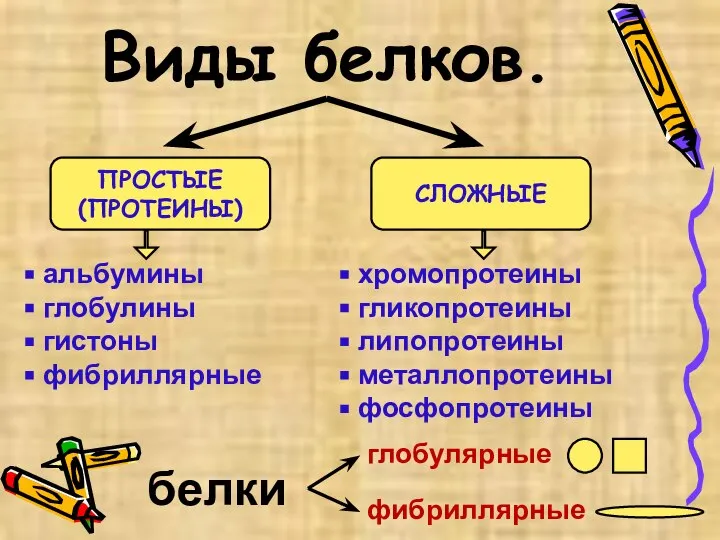 Виды белков. ПРОСТЫЕ (ПРОТЕИНЫ) СЛОЖНЫЕ альбумины глобулины гистоны фибриллярные хромопротеины гликопротеины липопротеины