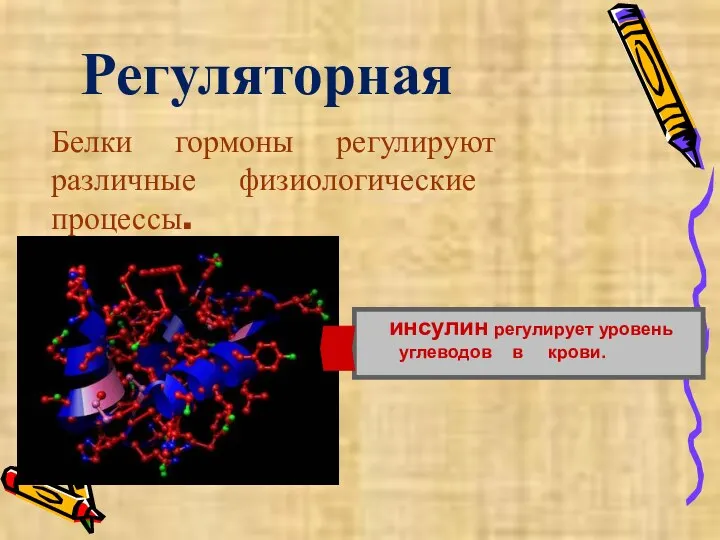 Регуляторная Белки гормоны регулируют различные физиологические процессы. инсулин регулирует уровень углеводов в крови.