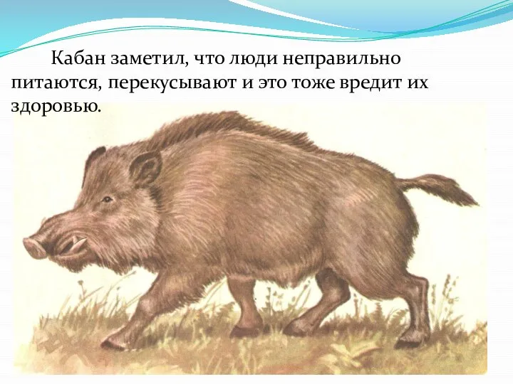 Кабан заметил, что люди неправильно питаются, перекусывают и это тоже вредит их здоровью.