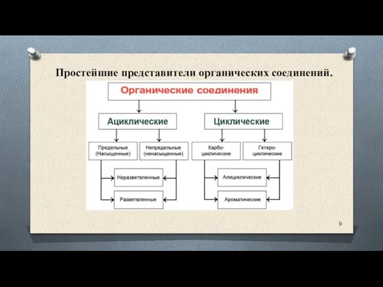 Простейшие представители органических соединений.