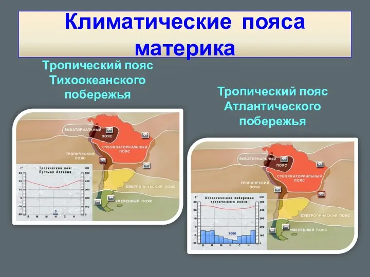 Тропический пояс Тихоокеанского побережья Тропический пояс Атлантического побережья Климатические пояса материка