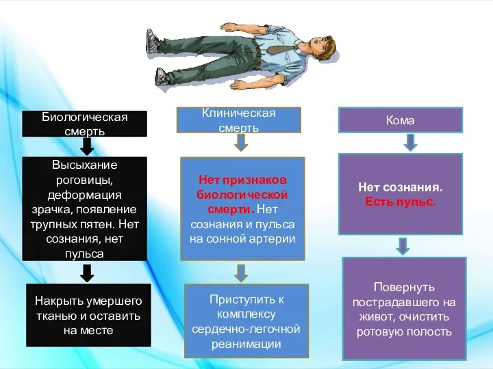 Биологическая смерть Высыхание роговицы, деформация зрачка, появление трупных пятен. Нет сознания, нет