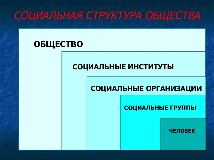 СОЦИАЛЬНАЯ СТРУКТУРА ОБЩЕСТВА