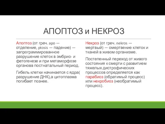 АПОПТОЗ и НЕКРОЗ Апоптоз (от греч. apo — отделение, ptosis — падение)