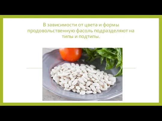 В зависимости от цвета и формы продовольственную фасоль подразделяют на типы и подтипы.