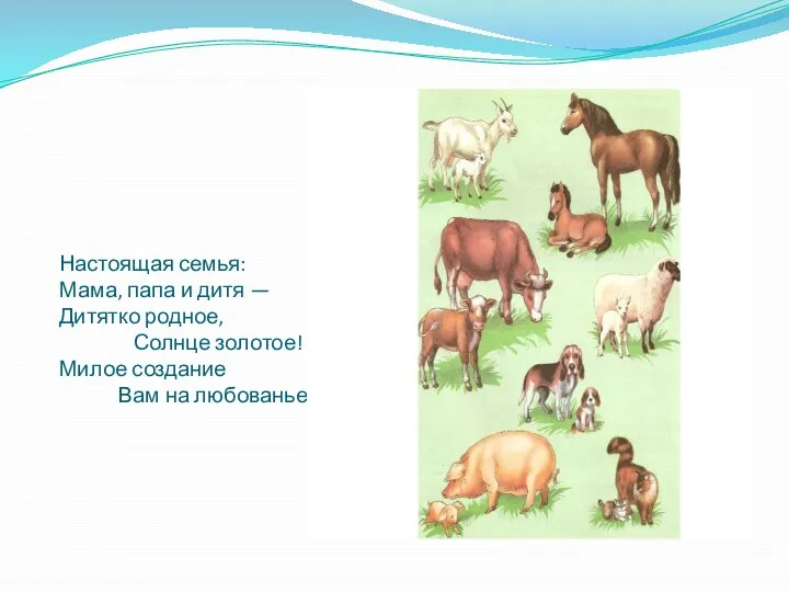 Настоящая семья: Мама, папа и дитя — Дитятко родное, Солнце золотое! Милое создание Вам на любованье.