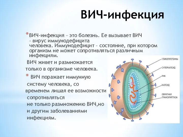 ВИЧ-инфекция ВИЧ-инфекция – это болезнь. Ее вызывает ВИЧ – вирус иммунодефицита человека.