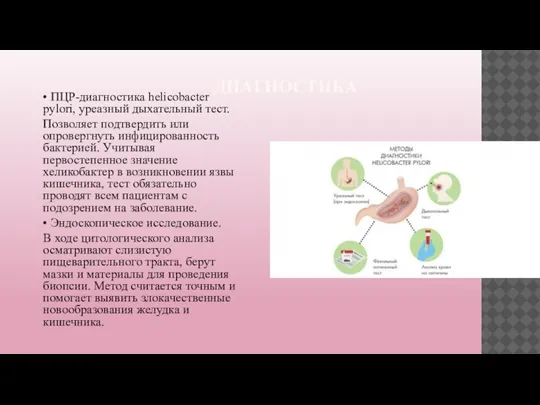 ДИАГНОСТИКА • ПЦР-диагностика helicobacter pylori, уреазный дыхательный тест. Позволяет подтвердить или опровергнуть