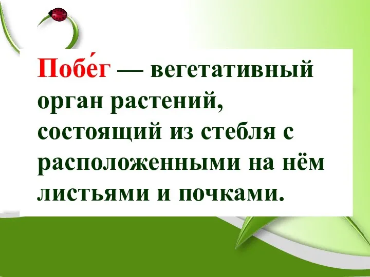 Побе́г — вегетативный орган растений, состоящий из стебля с расположенными на нём листьями и почками.