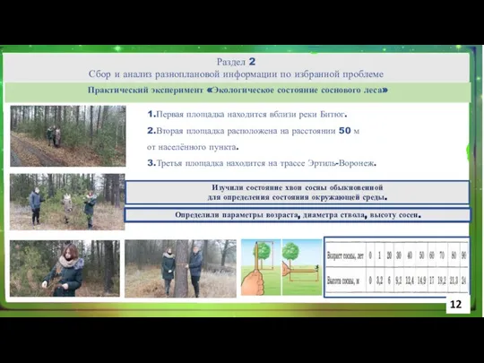 Практический эксперимент «Экологическое состояние соснового леса» 1.Первая площадка находится вблизи реки Битюг.