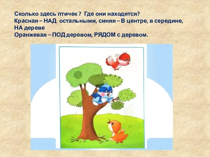 Сколько здесь птичек ? Где они находятся? Красная – НАД остальными, синяя