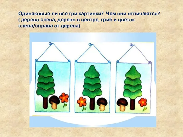 Одинаковые ли все три картинки? Чем они отличаются? ( дерево слева, дерево